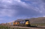 CSX 7884 at Elko